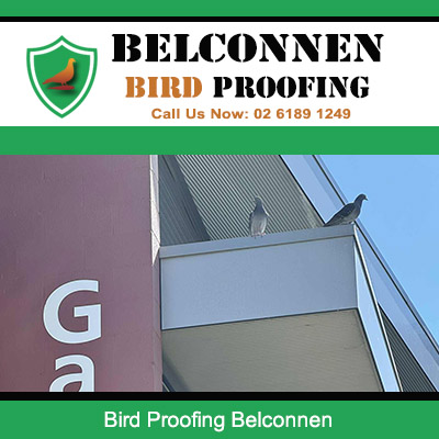 Belconnen bird proofing specialists installing protective netting systems